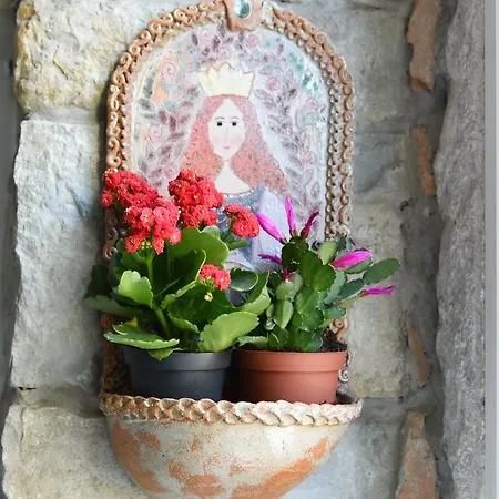 Petra * טריאסטה