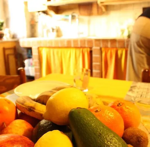 Petra * Τεργέστη