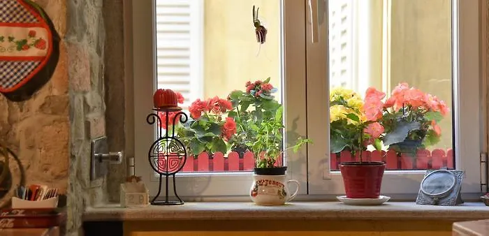 Frühstückspension Petra *